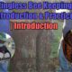 Stingless Bee Keeping: Introduction & Practice | Introduction