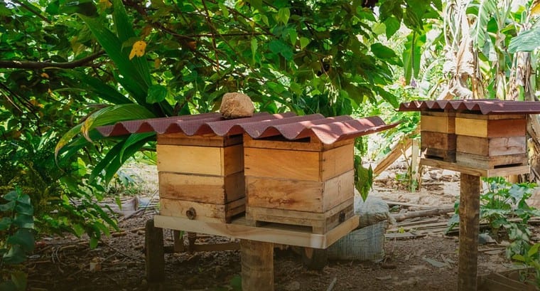 Socioeconomic aspects of meliponiculturists in the Amazon: challenges for the effective creation of stingless bees aiming at the maintenance of environmental and ecosystem services