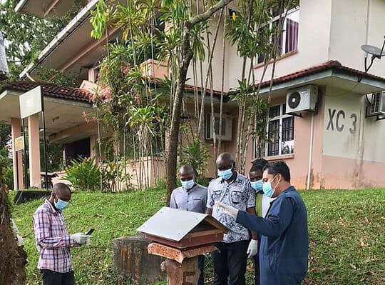 Traditional knowledge and uses of stingless bees (Hymenoptera, Apidae, Meliponini) in Tanzania