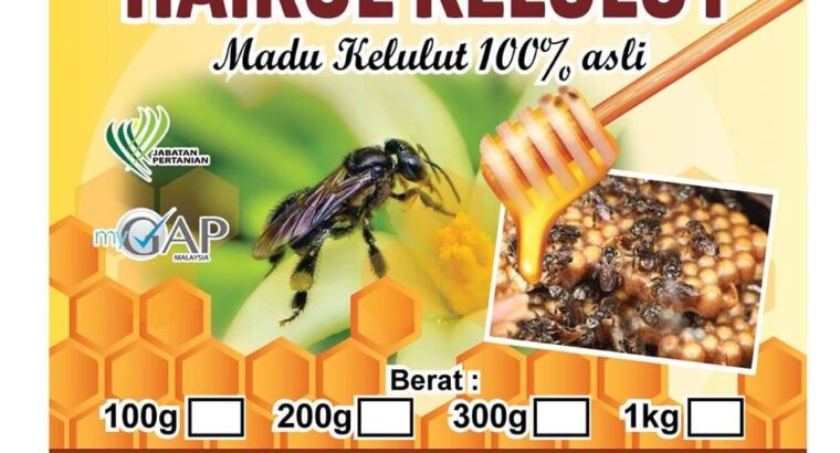 LOG MENTAH KELULUT BERKUALITI – TERUS DARI LADANG