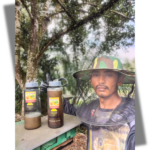 Hairul Kelulut: Us...