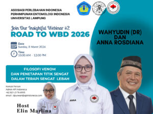 🐝 WEBINAR GRATIS – ROAD TO WBD 2026 🐝