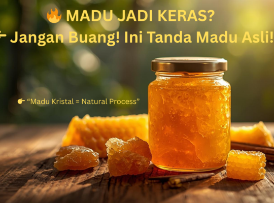 Apa itu Madu kristal ?