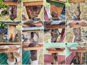 🔥 STOK LOG KELULUT – TERUS DARI PEMBEKAL