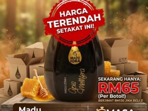 🔥 CLEARANCE GILA-GILA MADU APIS MELIFERA ASLI! 🍯