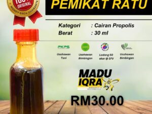 🔥 Pemikat Ratu – Cecair Propolis 30ml 🔥