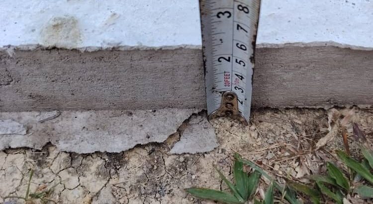 TAPAK LOG KELULUT ANTI SEMUT & ANAI-ANAI 🐝