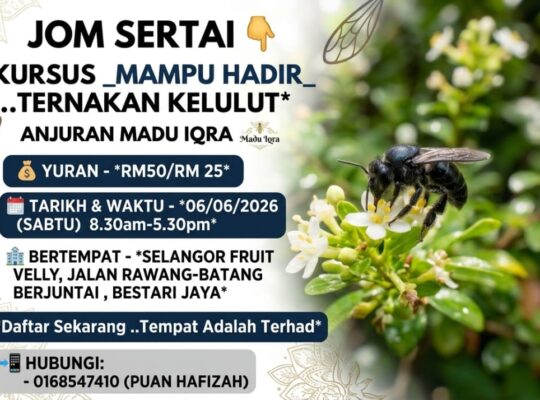 Kursus Jinak Ternak Lebah Kelulut – Raih Ilmu dan Pengalaman di Ladang Kelulut 50 Ekar