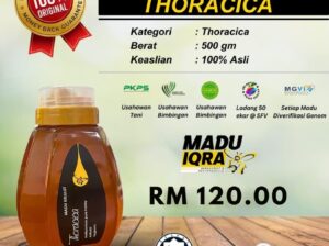 🍯 Madu Kelulut Thoracica 500g – Premium, Asli