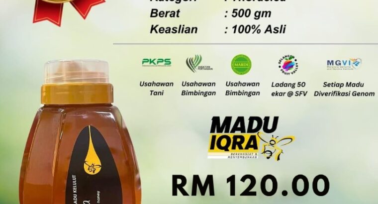 🍯 Madu Kelulut Thoracica 500g – Premium, Asli