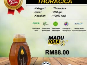 🍯 Madu Kelulut Thoracica 250g – Kecil Botolnya