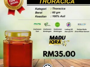 🍯 Madu Kelulut Thoracica 60g – Saiz Kecil