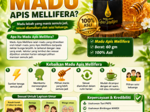 Madu Apis Mellifera 60gm – Madu Pilihan Keluarga