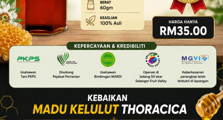 🍯 Madu Kelulut Thoracica 60g – Saiz Kecil