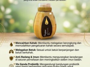 🍯 Madu Kelulut Binghami 60g – Kecil Botolnya, Bes
