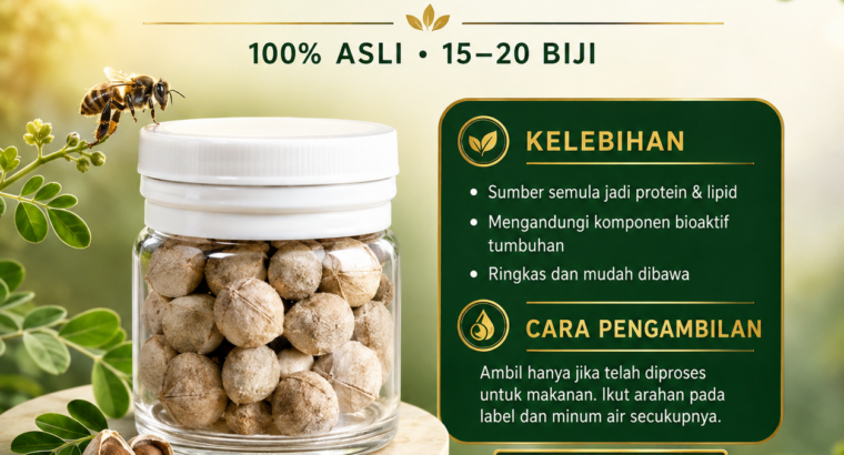 🌿 BIJI MORINGA ASLI — KECIL BIJINYA, BESAR NILAI