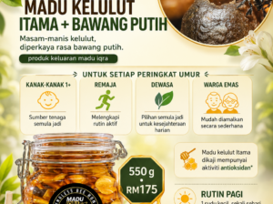 Madu Kelulut Plus Bawang Putih 550g