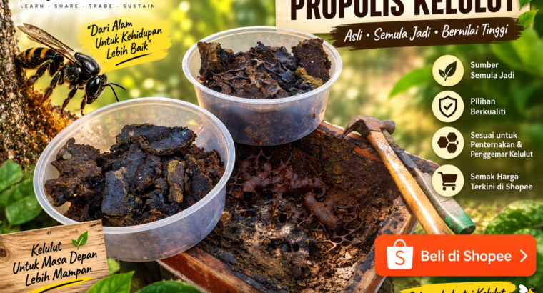 Propolis Kelulut Itama / Thoracica Gred A+