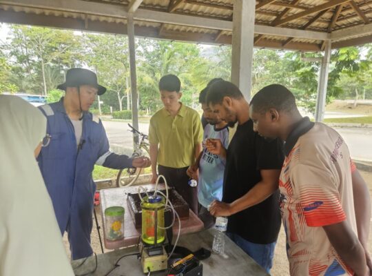 Learning Together Through Stingless Bees at KDOJ: Sustainability, Innovation and Internationalisation at Home